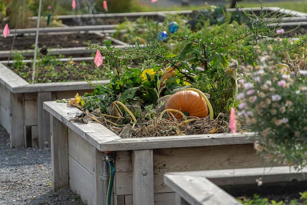 Buy a Garden Plot