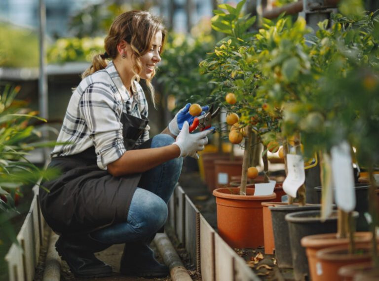 Farming Products